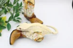 Unique Crested Geckos Adult - Image 2