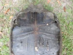 Burmese Star Tortoise fro sale - Image 2